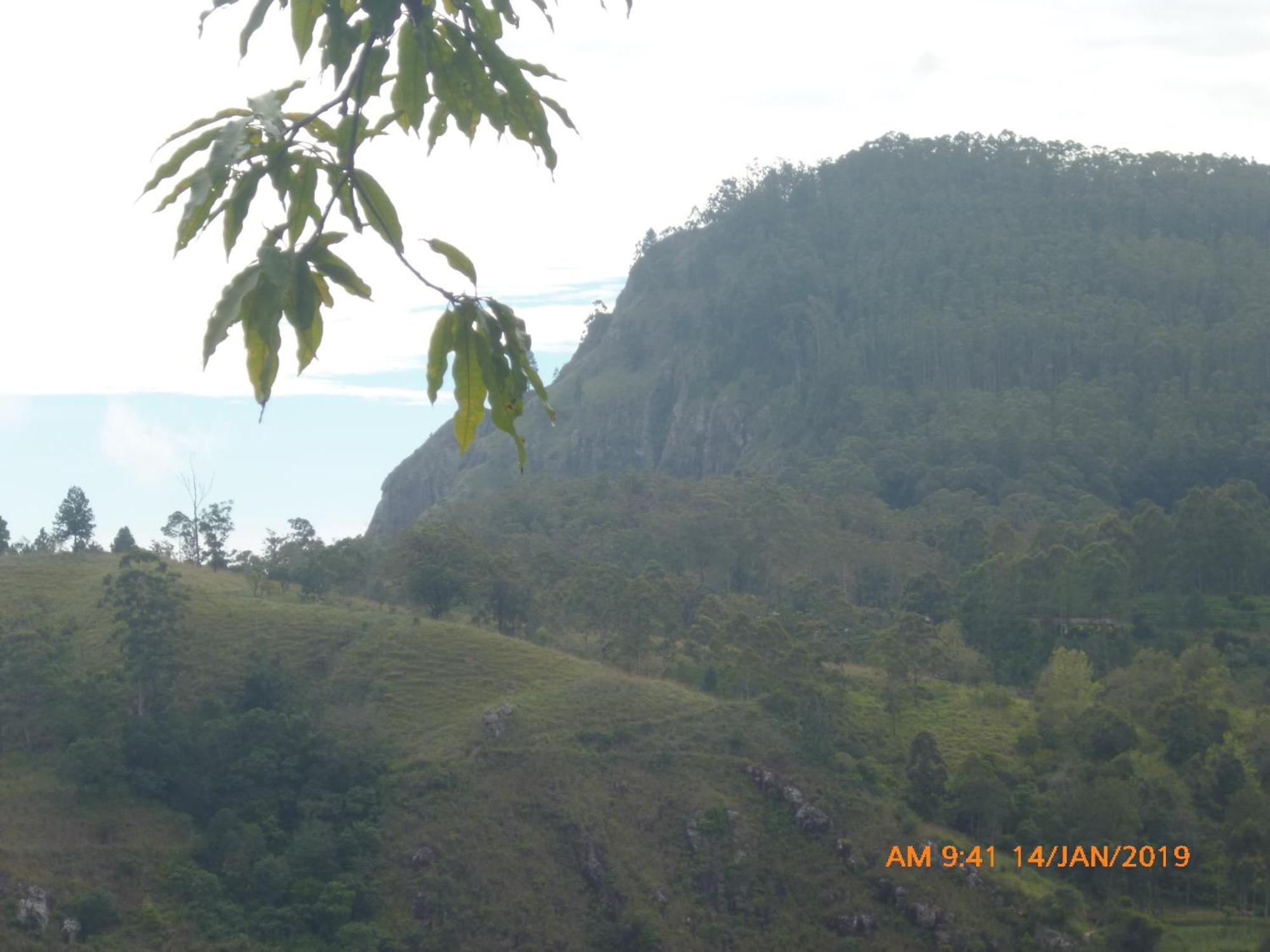 Glorious Nature Inn 埃拉 外观 照片